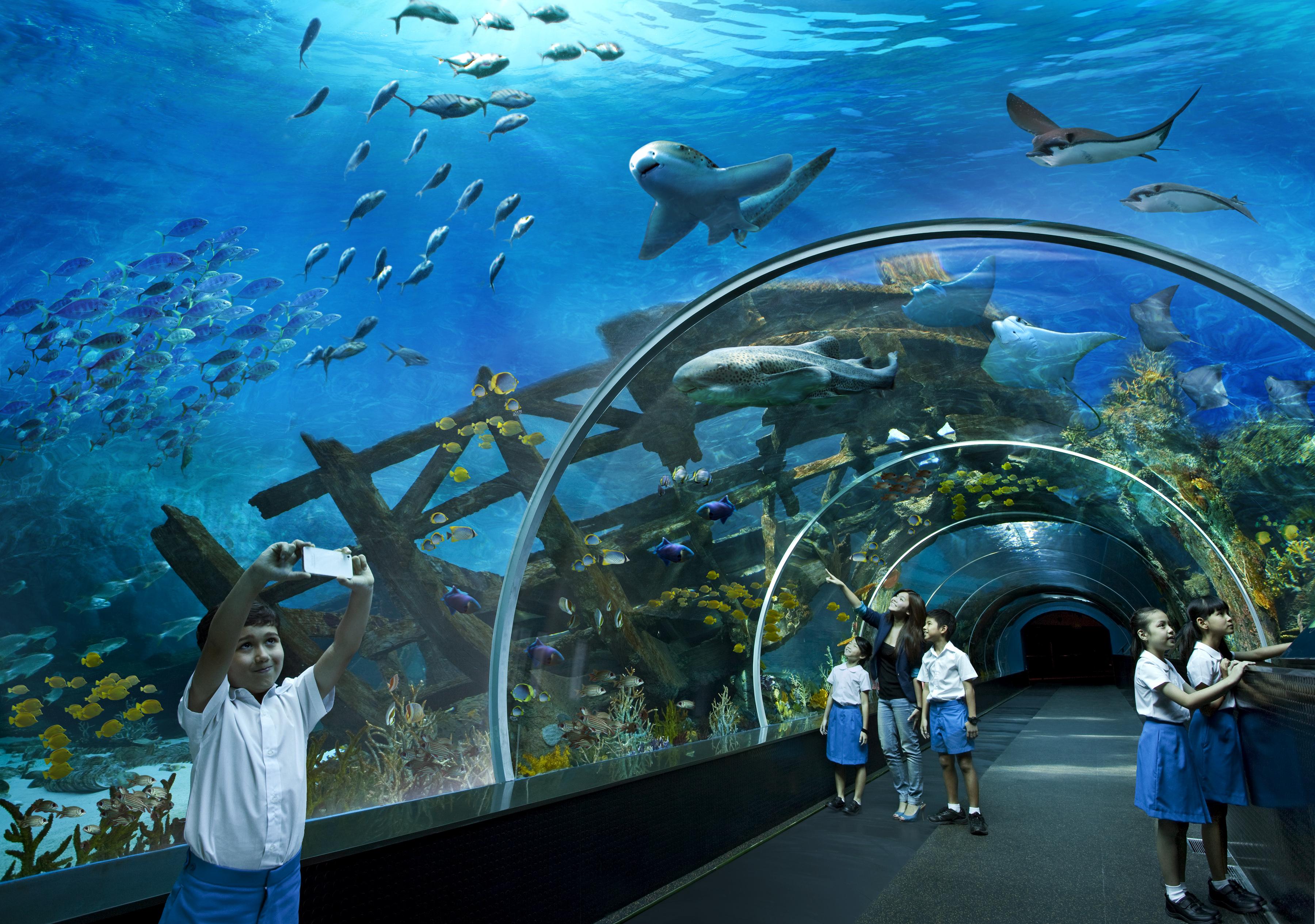 Tempat peranginan World Sentosa - Michael