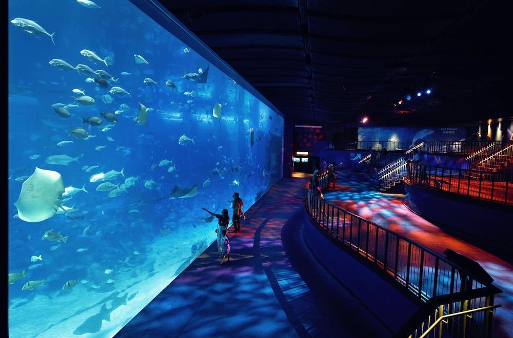 World Sentosa - Michael Tempat peranginan